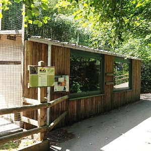 Barbary macaque barn, 2023-06-24