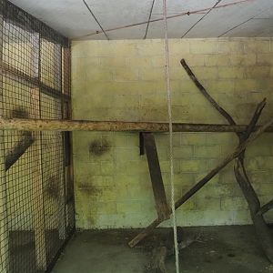Barbary macaque indoor housing, 2023-06-24