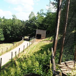 Central European wild boar and Pyrenean goat paddocks, 2023-06-24