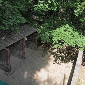 Central European wild boar shelter and holding area, 2023-06-24