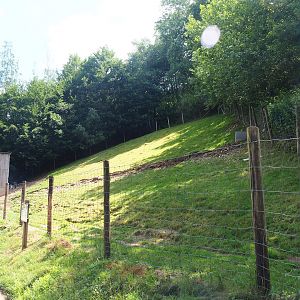 Pyrenean goat paddock, 2023-06-24