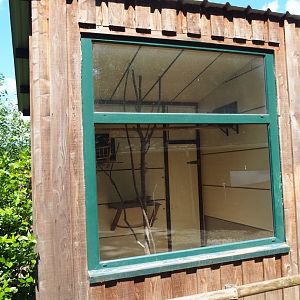 Domestic rabbit, Domestic guinea pig, Lovebird, Cockatiel and Conure indoor housing, 2023-06-24