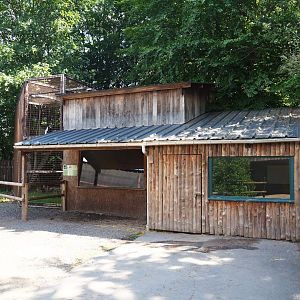 Kikuyu Colobus and Collared peccary barns, 2023-06-24