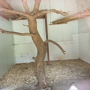 Kikuyu Colobus indoor housing, 2023-06-24
