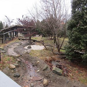 North American River Otter Exhibit