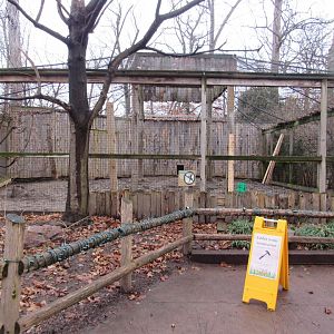 Raven Exhibit, Under Construction