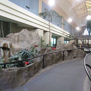 Feline & Primate Building Interior