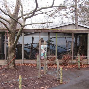Pallas's Cat Exhibit