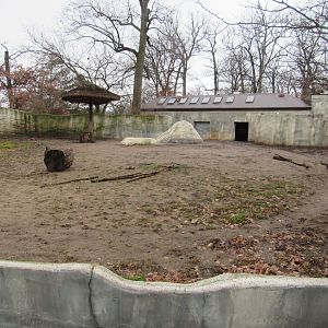 Black Rhinoceros - Second Yard