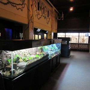 Small Mammal & Reptile Building Interior