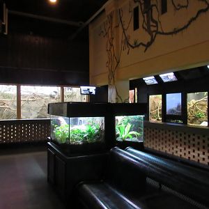 Small Mammal & Reptile Building Interior