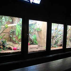 Reptile Terrariums