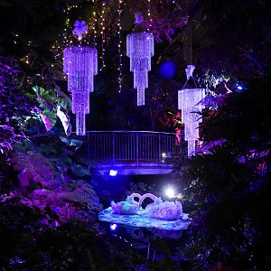 Zoolights 2023 - Enmax Conservatory