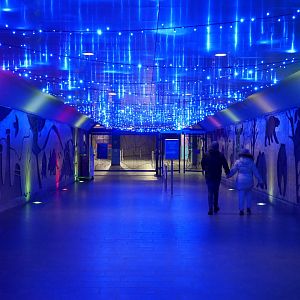 Zoolights 2023 - North Gate Entry and LRT Station