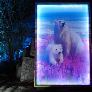 Zoolights 2023 - Polar Nights