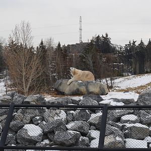 Wild Canada - Taylor Family Foundation Polar Bear Sanctuary