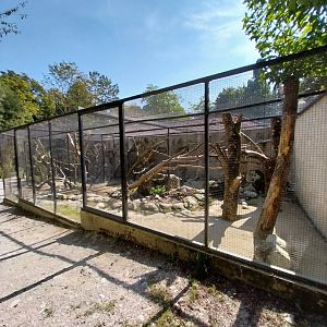 Kea aviary