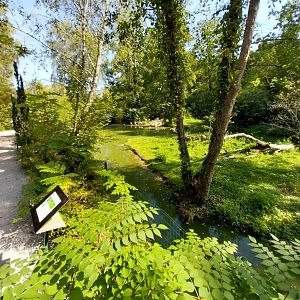 Greater flamingo enclosure