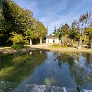 South American tapir and capybara enclosure