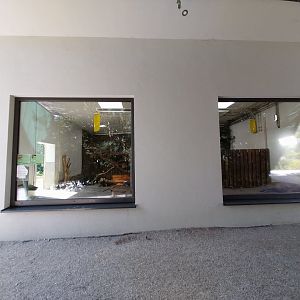 South American tapir and capybara House