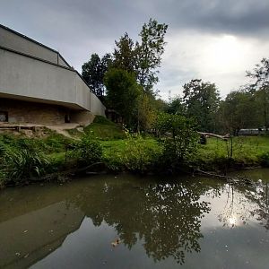 Western gorilla enclosure
