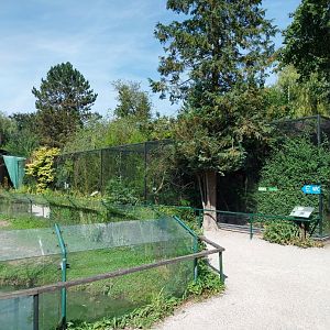 Aviaries nearby the gorilla enclosure