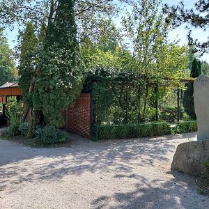 Wrinkled hornbill aviary