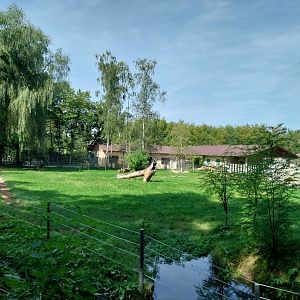 South African cheetah enclosure