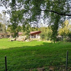 South African cheetah enclosure
