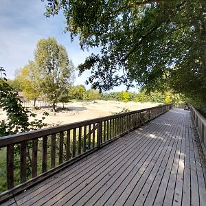 Southern Africa savanna viewing point