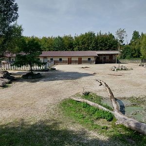 Southern Africa savannah