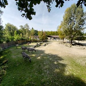 Southern Africa savannah