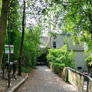 Entrance area Gorilla Bai and Aviary