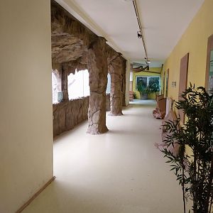 Inside the Gorilla Bai