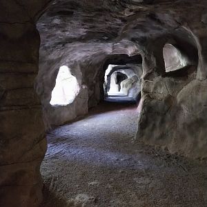 Visitors section large aviary