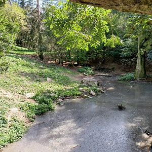 Giant aviary - First section