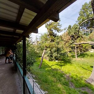 Giant aviary - Visitors walkway