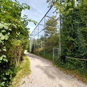 Martial eagle aviary