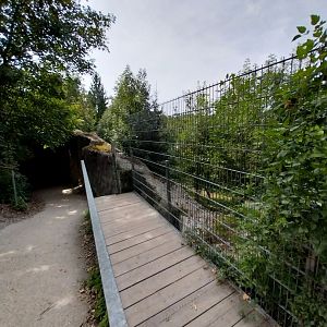 Tiger taiga viewing point