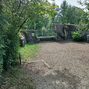 Tiger taiga - viewing point