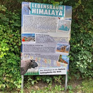 Habitat Himalaya
