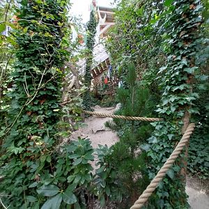 Himalaya Habitat - Watching tower