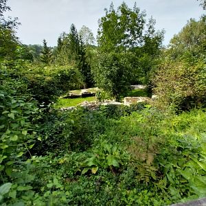 Himalaya Habitat - View from watching tower towards tiger taiga