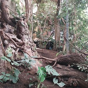 Tropenhaus - Lower section - General view