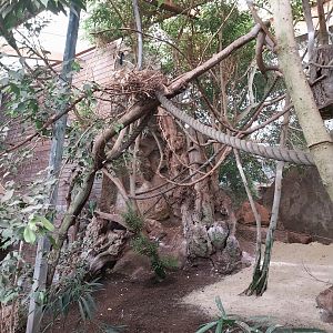 Tropenhaus - Lower section - General view