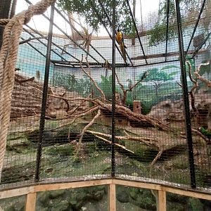 Tropenhaus - Middle section - Macaw aviary