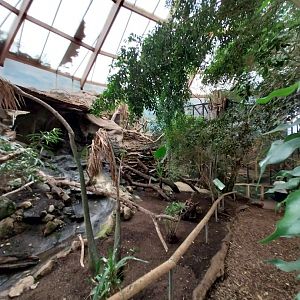 Tropenhaus - Middle section - General view