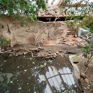 Tropenhaus - Middle section - Pond