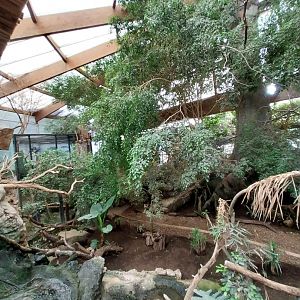 Tropenhaus - Middle section