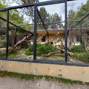 Black and white ruffed lemur enclosure